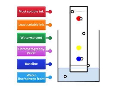 Paper chromatography with vocabulary