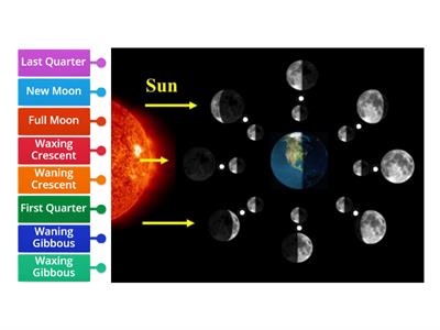 Phases of the Moon