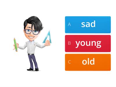 Adjectives (new,old, short, long, tall, young ,happy sad)