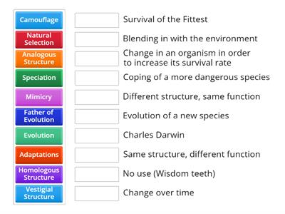 me7a Biology - evolution