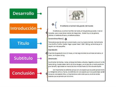 Articulo informativo: El elefante