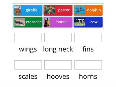Describing animals 2