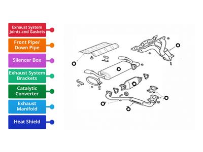 Exhaust System Components