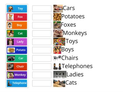 Noun + are +Noun: Plural