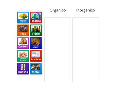 Basura organica e inorganica