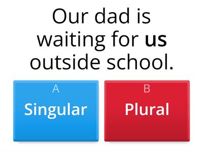 Singular and Plural Pronouns