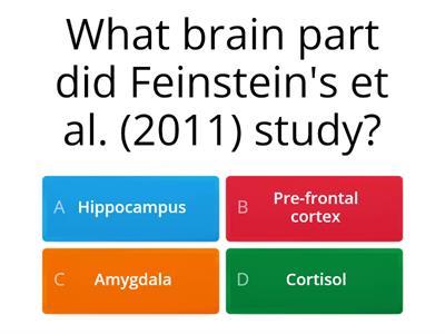 Localization, Neuroplasticity, Neurotransmitters