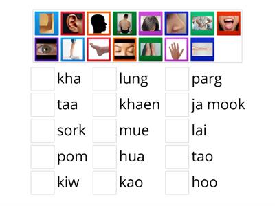 LO: To learn parts of body in Thai