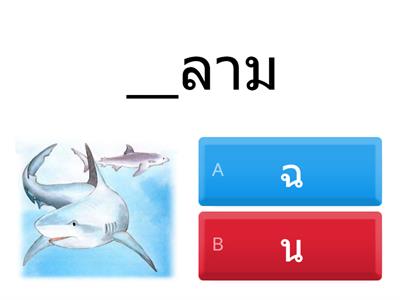 เสียงพยัญชนะต้น ฉ หรือ น