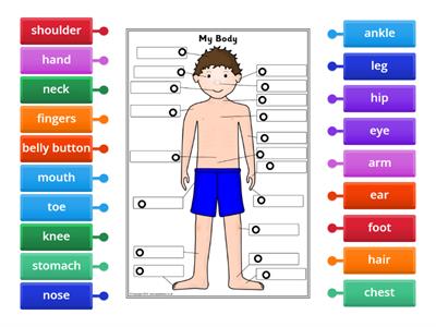  Parts of the body