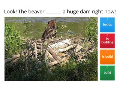 Leave it to beavers: grammar 