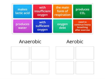 Respiration