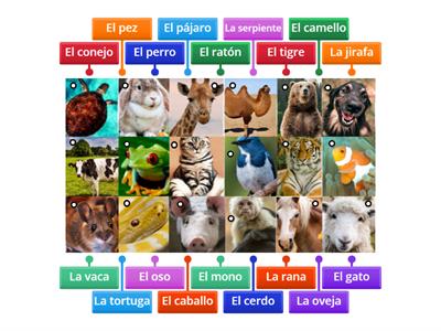 Los animales 1