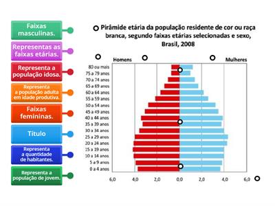 ELEMENTOS DA PIRÂMIDE ETÁRIA