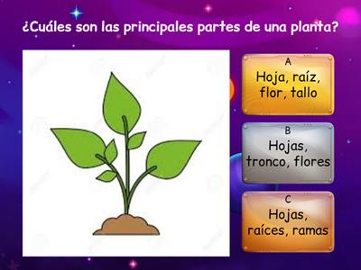 PARTES DE LA PLANTA