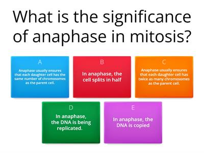 Mitosis