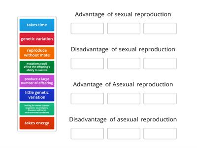 Types of reproduction