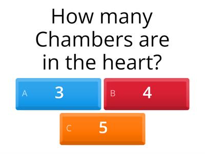 The heart Quiz