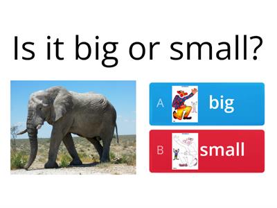 Big/Small