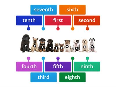 Ordinal Numbers 1st-10th