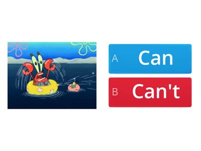 Can or Can't