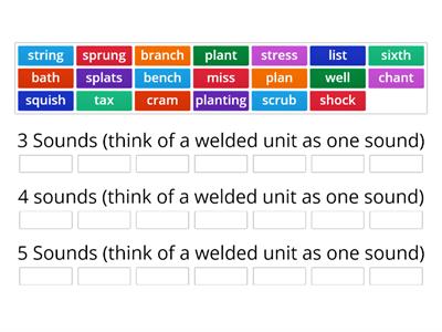 How Many SOUNDS in each word WRS 2.4