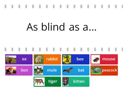 Animal idioms (as..as)