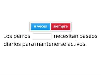 ¿Con qué frecuencia cuidas a tu mascota?