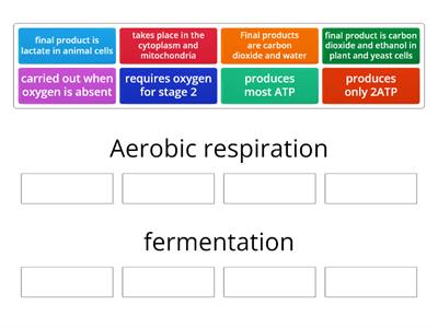 Respiration group sort