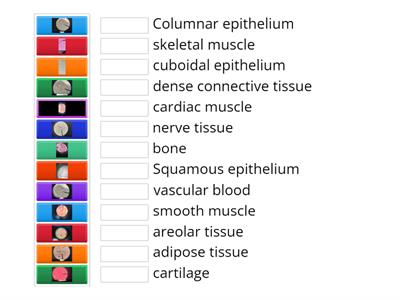 all tissue types 