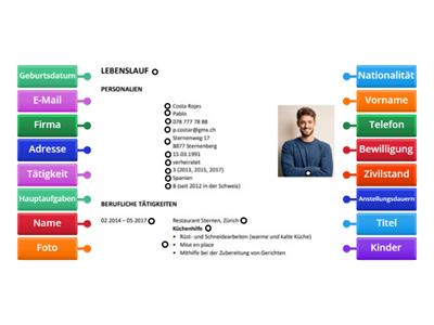 Lebenslauf - Angaben