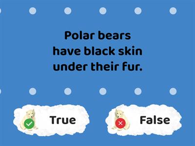 (Red) Polar Bear Facts - True or False