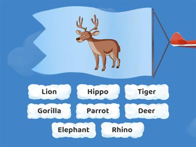 Let's Practise: Wild Animals