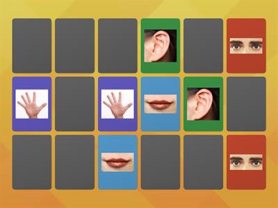 Body parts memory game