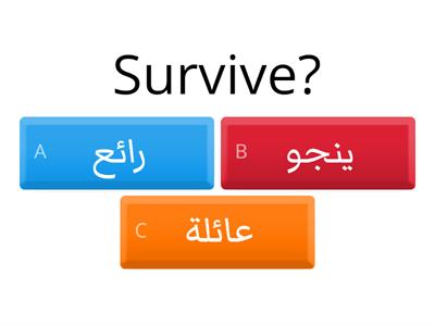 Vocabulary Quiz (choose the correct meaning in Arabic).