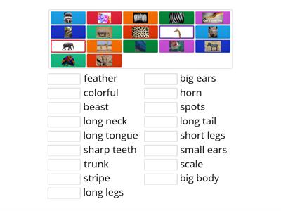 Animals body parts - adjectives