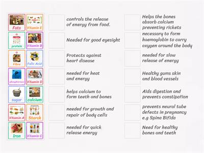 Functions of nutrients 