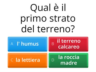 La Scienza in un Quiz (3A)