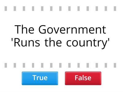 Government - True or False?