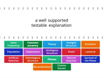 Evolution Vocabulary