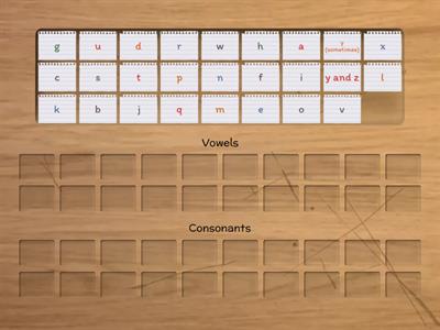 Vowels vs. Consonants