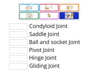 Joint Types
