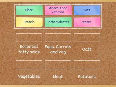 Essential Nutrients 