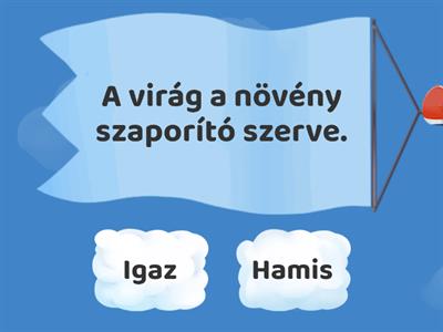 IGAZ-HAMIS