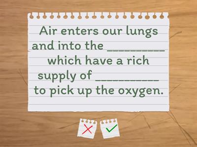 Respiratory System Questionaire