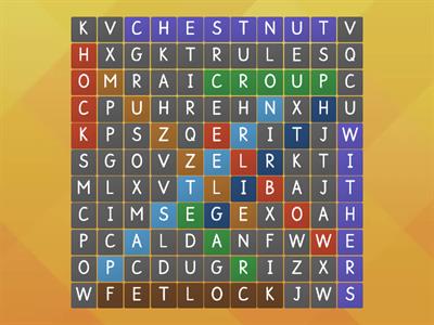 Parts of the horse wordsearch