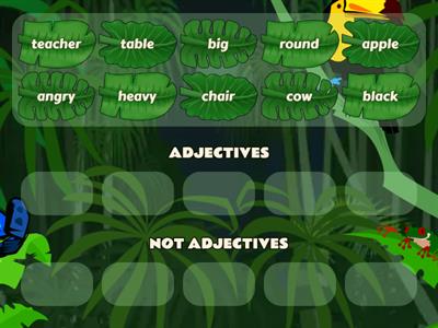 Adjectives