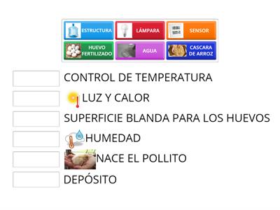 Partes de la incubadora