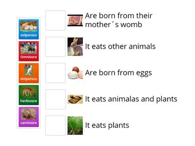 Animals clasification