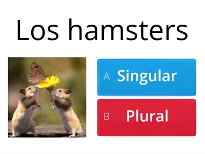 A2 juniors singular o plural